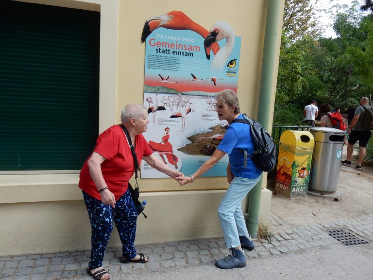 Elfi und Renate versuchen Stepptanz der Flamings