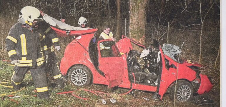 „Junge Leute schwer verletzt“ am 16.3.2014, im „Straubinger Tagblatt“